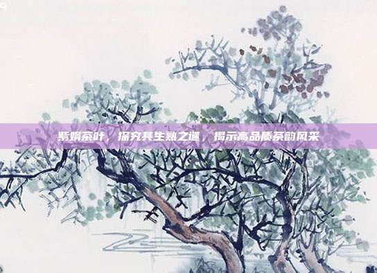紫娟茶叶，探究其生熟之谜，揭示高品质茶韵风采