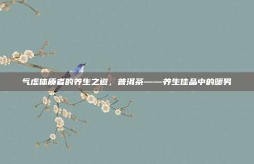 气虚体质者的养生之道，普洱茶——养生佳品中的暖男