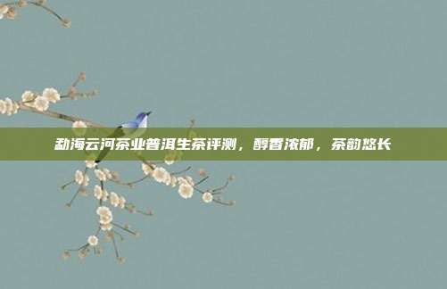 勐海云河茶业普洱生茶评测，醇香浓郁，茶韵悠长