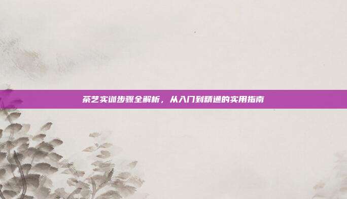 茶艺实训步骤全解析，从入门到精通的实用指南