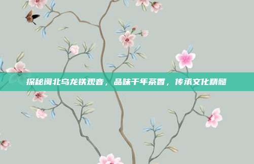 探秘闽北乌龙铁观音，品味千年茶香，传承文化精髓