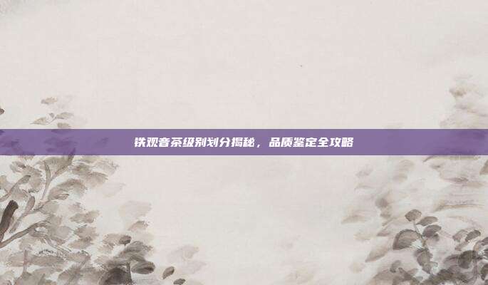 铁观音茶级别划分揭秘，品质鉴定全攻略