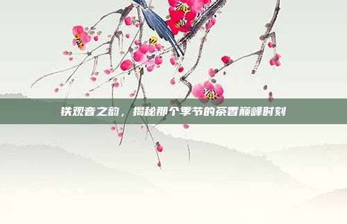 铁观音之韵，揭秘那个季节的茶香巅峰时刻