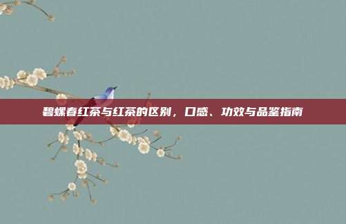 碧螺春红茶与红茶的区别，口感、功效与品鉴指南