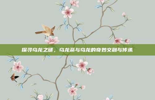 探寻乌龙之谜，乌龙茶与乌龙的奇妙交融与传承