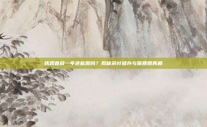 铁观音放一年还能喝吗？揭秘茶叶储存与保质期真相