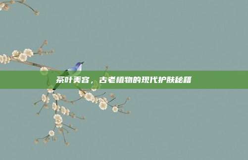 茶叶美容，古老植物的现代护肤秘籍
