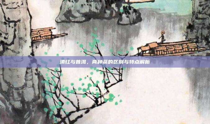 滇红与普洱，两种茶的区别与特点解析