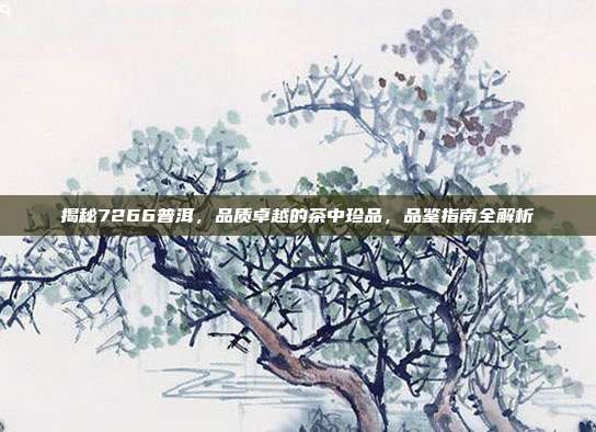 揭秘7266普洱，品质卓越的茶中珍品，品鉴指南全解析