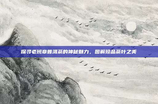 探寻老班章普洱茶的神秘魅力，图解珍品茶叶之美