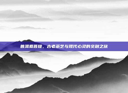普洱煮菩提，古老茶艺与现代心灵的交融之旅