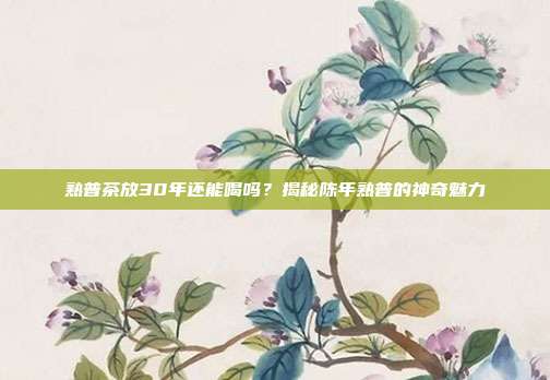熟普茶放30年还能喝吗？揭秘陈年熟普的神奇魅力