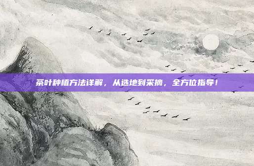 茶叶种植方法详解，从选地到采摘，全方位指导！