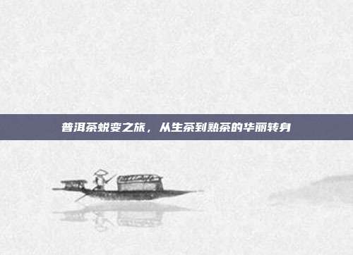 普洱茶蜕变之旅，从生茶到熟茶的华丽转身