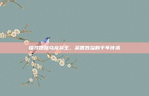 探寻建瓯乌龙茶王，茶香四溢的千年传承