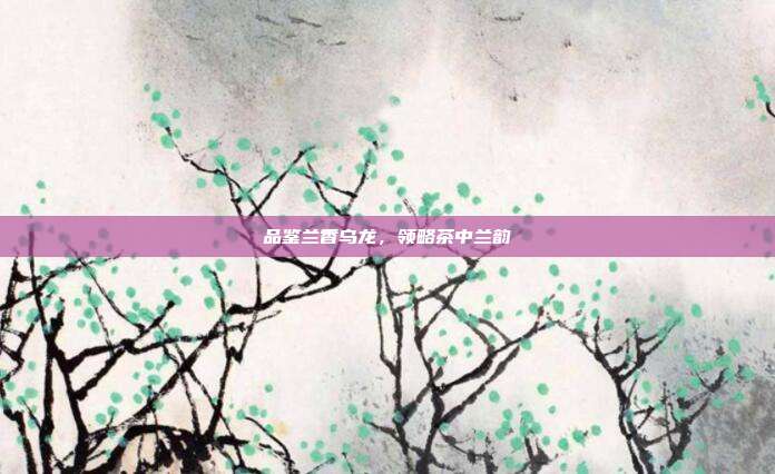 品鉴兰香乌龙，领略茶中兰韵