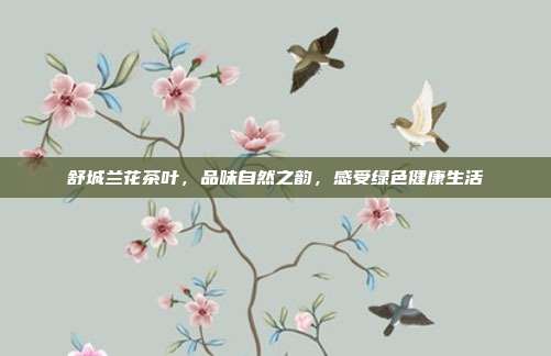 舒城兰花茶叶，品味自然之韵，感受绿色健康生活