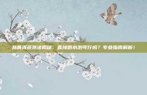 熟普洱茶泡法揭秘，直接倒水泡可行吗？专业指南解析！