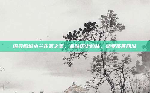 探寻桐城小兰花茶之美，品味历史韵味，感受茶香四溢