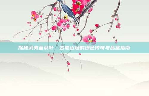 探秘武夷蓝茶叶，古老山场的绿色传奇与品鉴指南