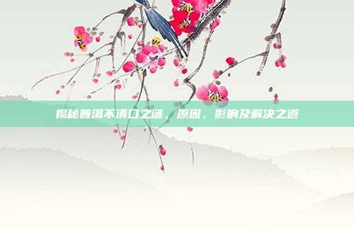 揭秘普洱不清口之谜，原因、影响及解决之道