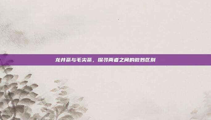 龙井茶与毛尖茶，探寻两者之间的微妙区别