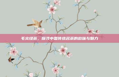 毛尖绿茶，探寻中国传统名茶的韵味与魅力