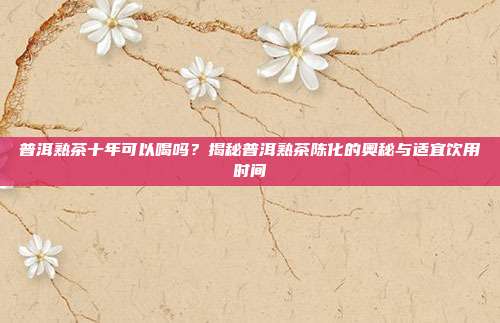 普洱熟茶十年可以喝吗？揭秘普洱熟茶陈化的奥秘与适宜饮用时间
