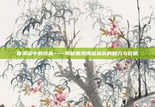 普洱茶中的珍品——揭秘普洱良品熟茶的魅力与价值