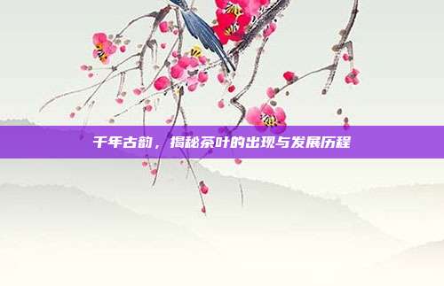 千年古韵，揭秘茶叶的出现与发展历程