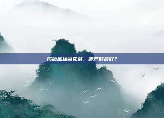 揭秘金丝菊花茶，哪产的最好？