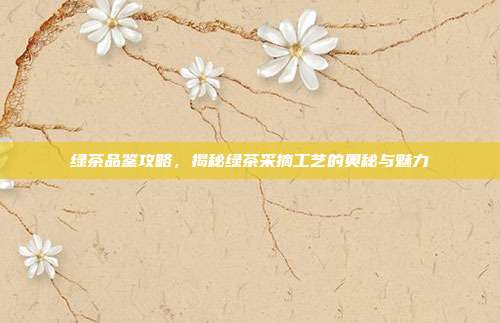 绿茶品鉴攻略，揭秘绿茶采摘工艺的奥秘与魅力