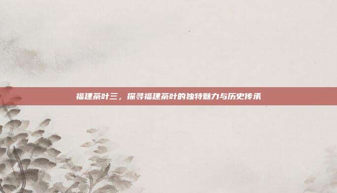 福建茶叶三，探寻福建茶叶的独特魅力与历史传承