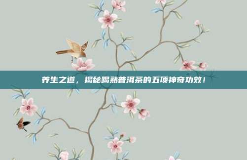 养生之道，揭秘喝熟普洱茶的五项神奇功效！