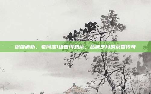 深度解析，老同志1级普洱熟茶，品味岁月的茶香传奇