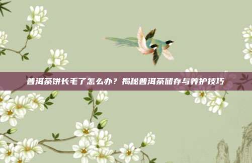 普洱茶饼长毛了怎么办？揭秘普洱茶储存与养护技巧
