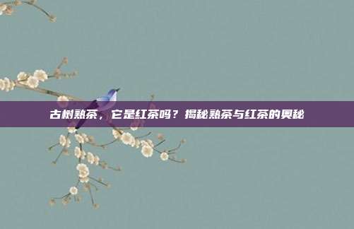 古树熟茶，它是红茶吗？揭秘熟茶与红茶的奥秘