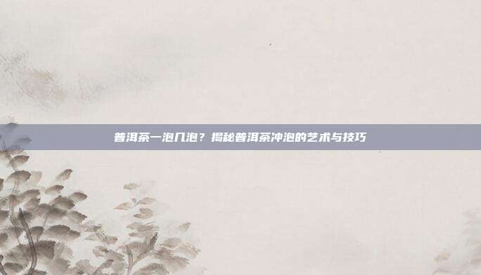 普洱茶一泡几泡？揭秘普洱茶冲泡的艺术与技巧