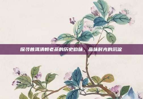 探寻普洱清朝老茶的历史韵味，品味时光的沉淀