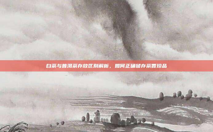 白茶与普洱茶存放区别解析，如何正确储存茶香珍品
