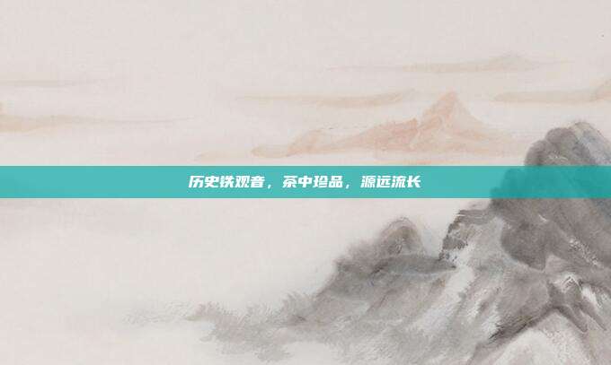 历史铁观音，茶中珍品，源远流长