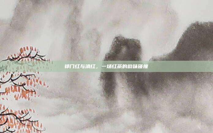祁门红与滇红，一场红茶的韵味碰撞