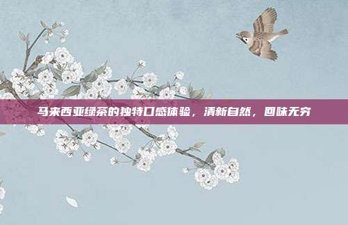 马来西亚绿茶的独特口感体验，清新自然，回味无穷