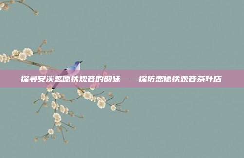 探寻安溪感德铁观音的韵味——探访感德铁观音茶叶店