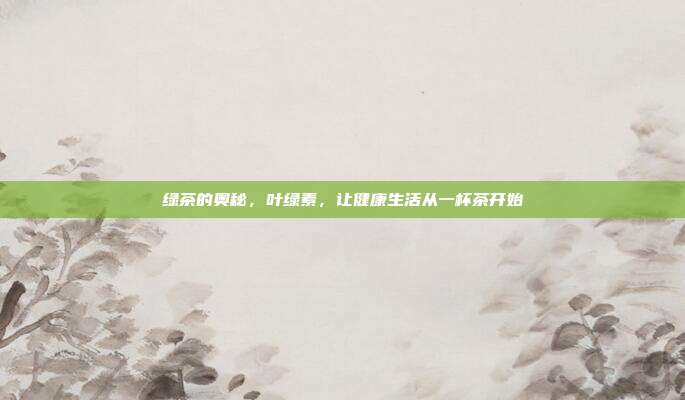 绿茶的奥秘，叶绿素，让健康生活从一杯茶开始