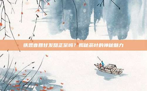 铁观音回甘发甜正宗吗？揭秘茶叶的神秘魅力