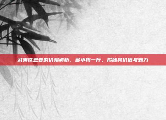 武夷铁观音的价格解析，多小钱一斤，揭秘其价值与魅力