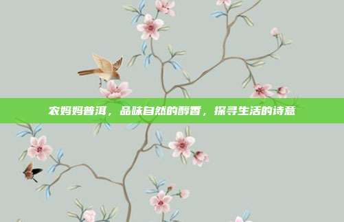 农妈妈普洱，品味自然的醇香，探寻生活的诗意