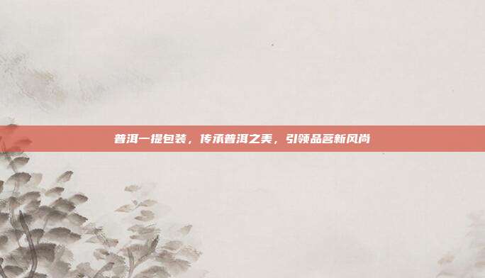 普洱一提包装，传承普洱之美，引领品茗新风尚