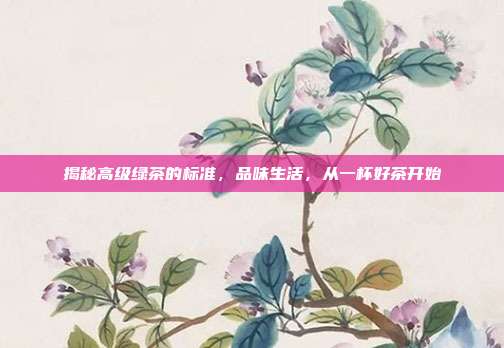 揭秘高级绿茶的标准，品味生活，从一杯好茶开始